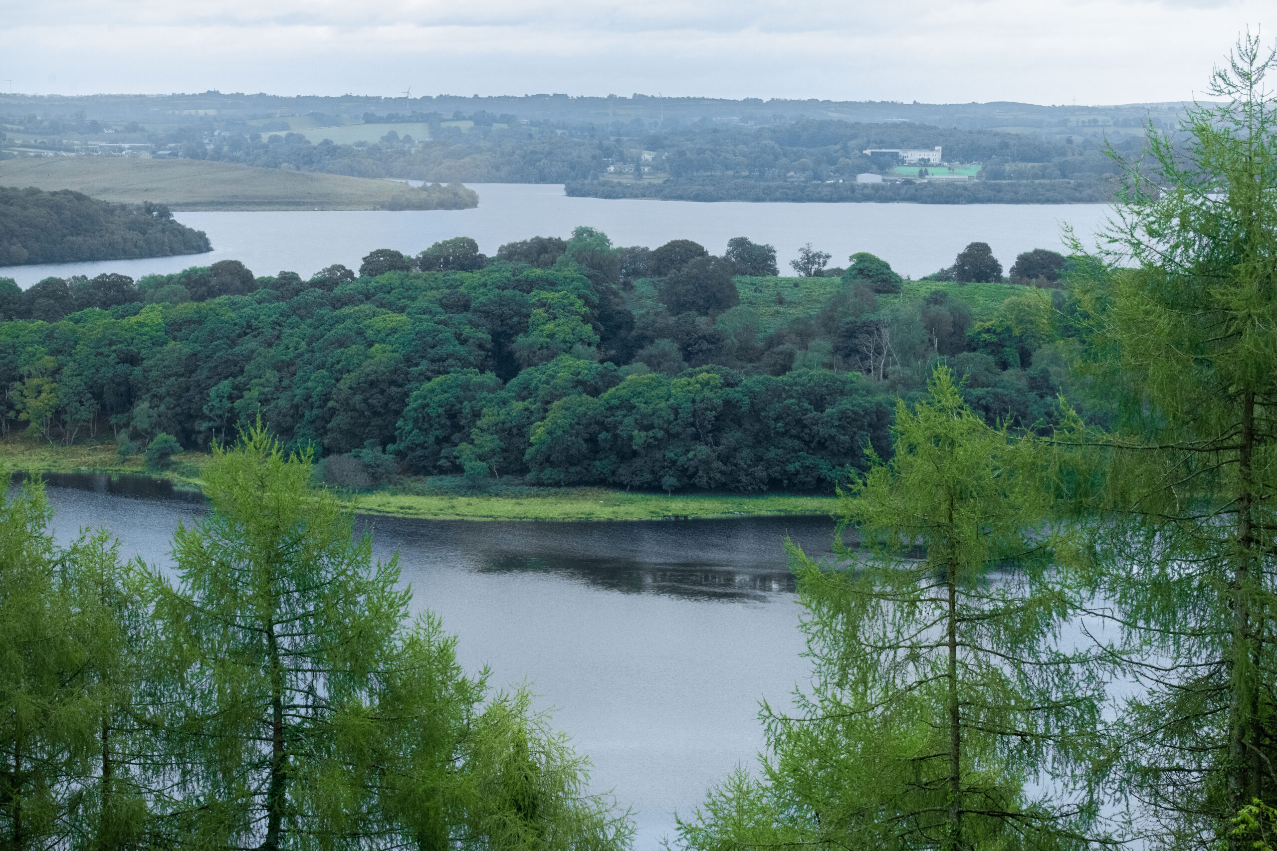 Carrickreagh Viewpoint