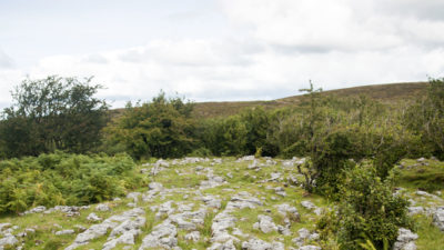 Geological Survey Ireland announces funding awards for Community Geoheritage Projects