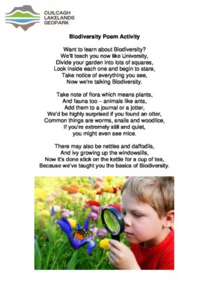 Biodiversity Poem Activity