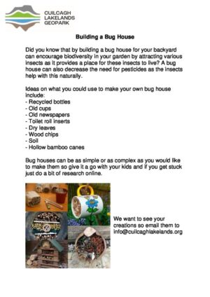 Building a Bug House