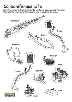 Carboniferous Life
