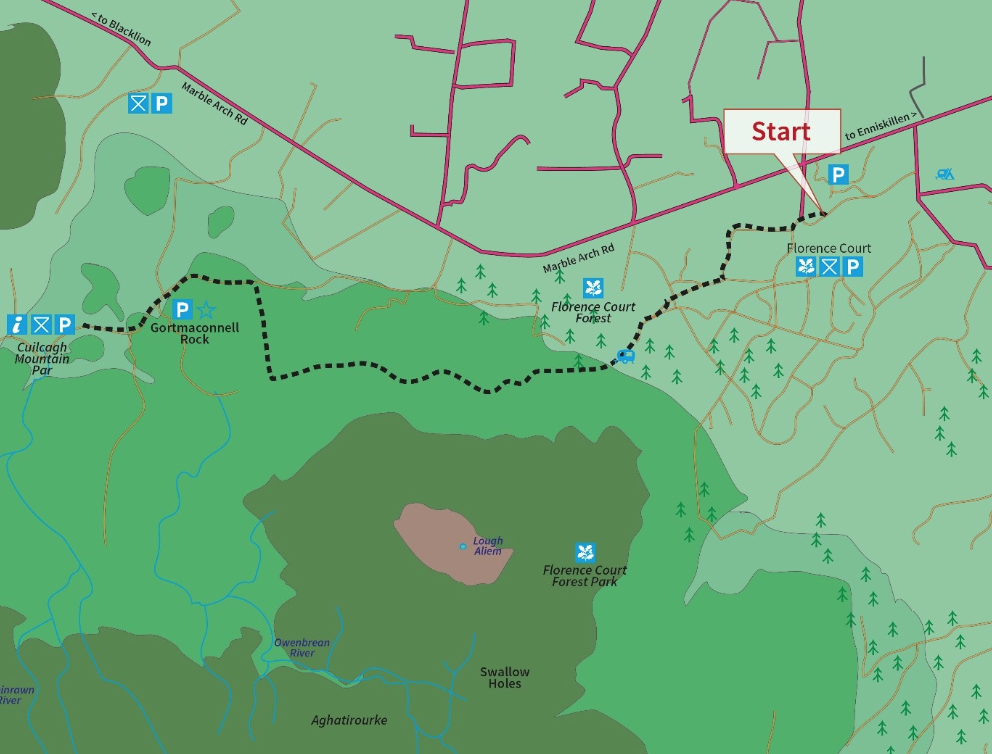 Florencecourt Forest Trail