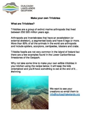 Make your own Trilobites