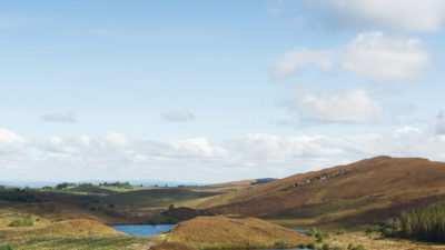 Conagher, Big Dog, Carrigan and Ballintempo Forest – Temporary Closure