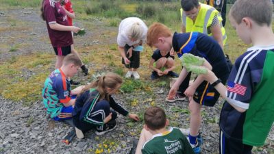 Things to do at home