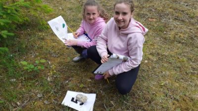 Forest schools grow new beginnings in Fermanagh and Omagh