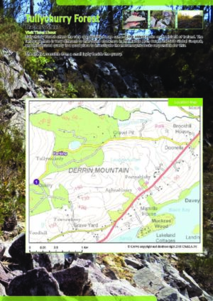 Tullychurry Forest Teacher Sheets