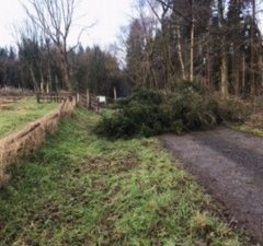 Recreational Trails Update