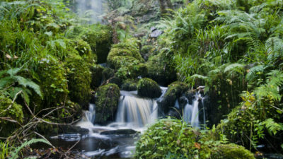 Storm Amy Update – Temporary Closures