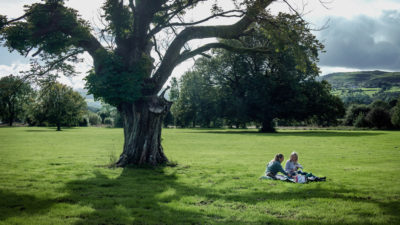 Public engagement on the future development of Cottage Lawn, Belcoo