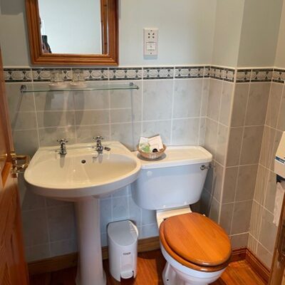 Ensuite in Drumrush B&B