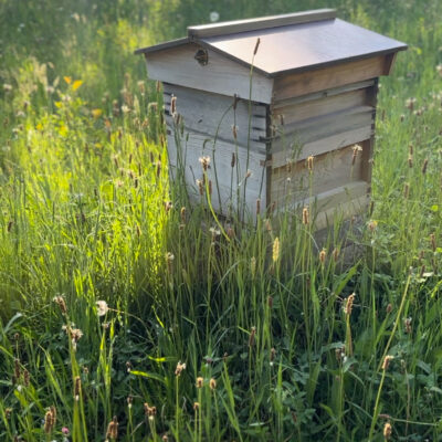 Beehive at Keenaghan Cottage