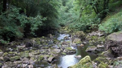 Haiku Walk for World Poetry Day