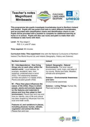 Teacher Notes Minibeasts