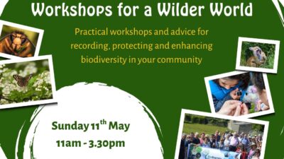 Biodiversity Week launch at Turbet Island