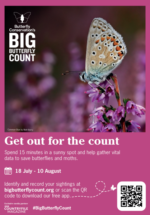 Big Butterfly Count