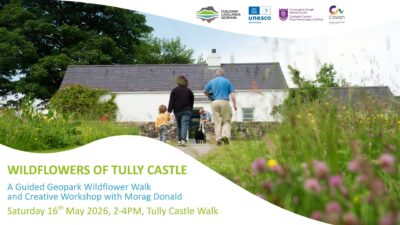 Wildflowers of Tully Castle