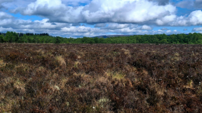 Shared Bogs, Shared Futures Project  Discover your local Peatland