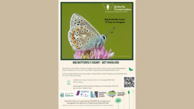 Big Butterfly Count 2026