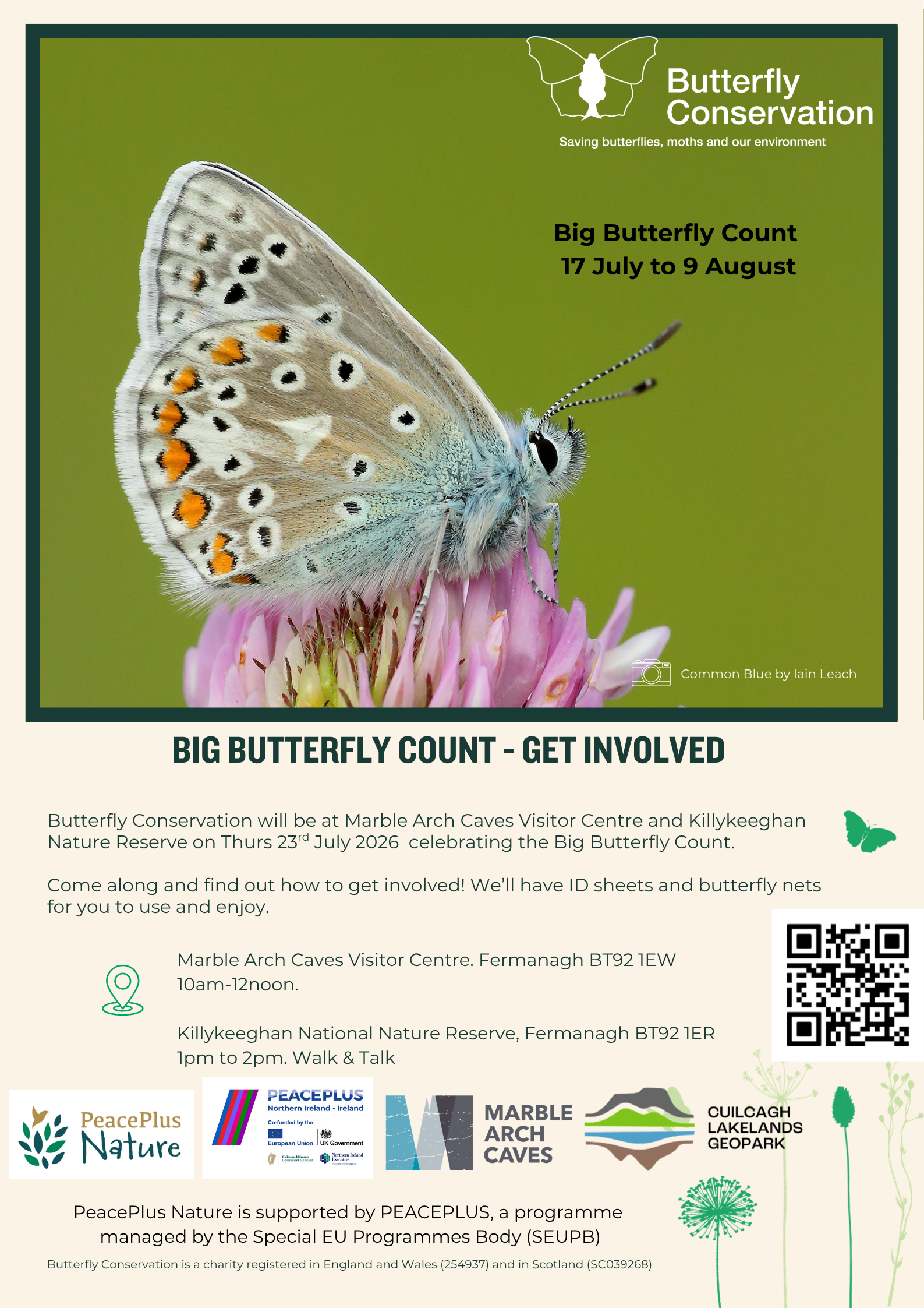 Big Butterfly Count 2026Poster