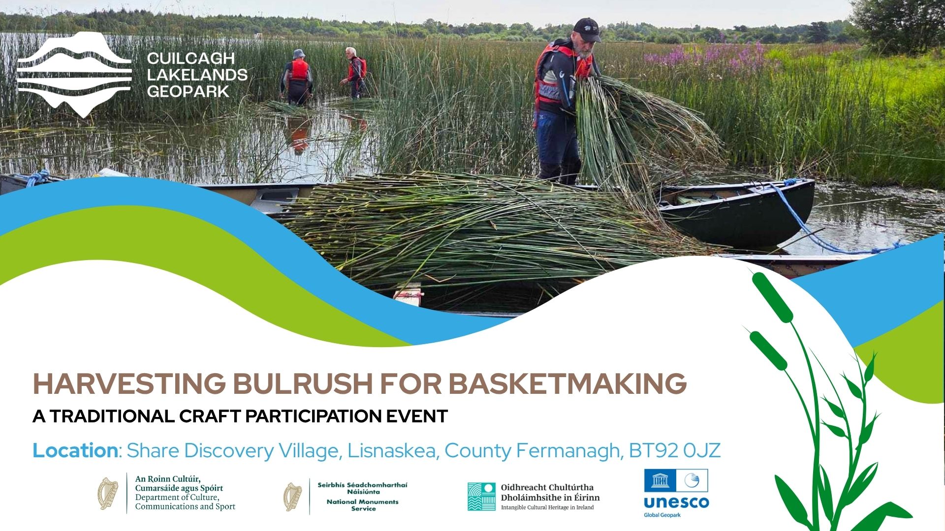 WEBSITE Harvesting for Bulrush Event