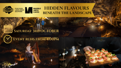 Hidden Flavours: Beneath the Landscape